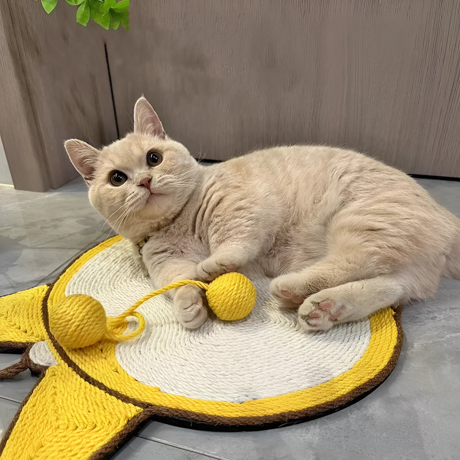 Yellow cat scratching board with Corgi design, 37x40cm sisal scratching pad with anti-slip base