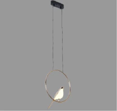 Modern simple aluminium alloy ceiling hall lamp with an iron chandelier frame and adjustable height.