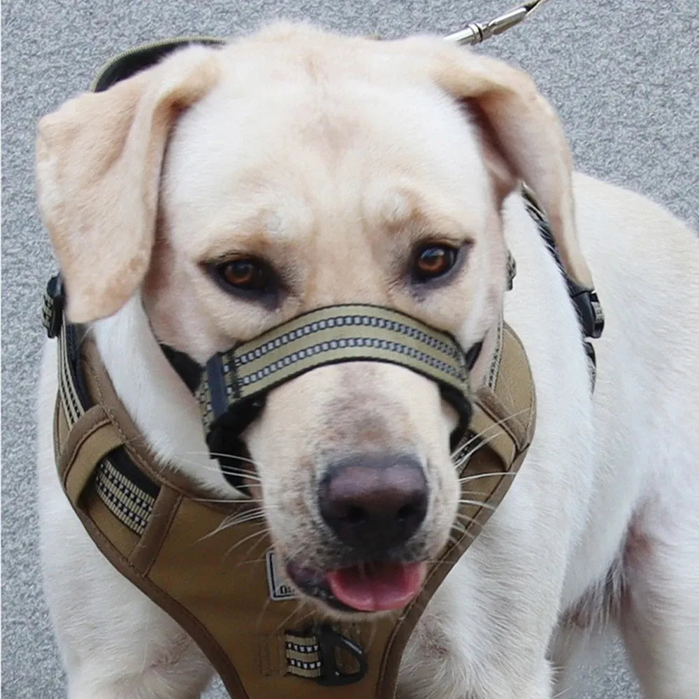 Adjustable anti-biting reflective dog muzzle for medium large dogs in black with straps