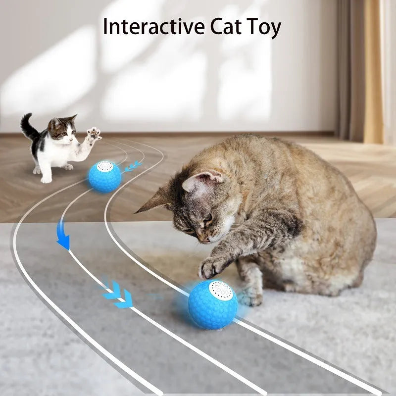 Remote control cat toy ball with flashing lights in blue, green and yellow colour options