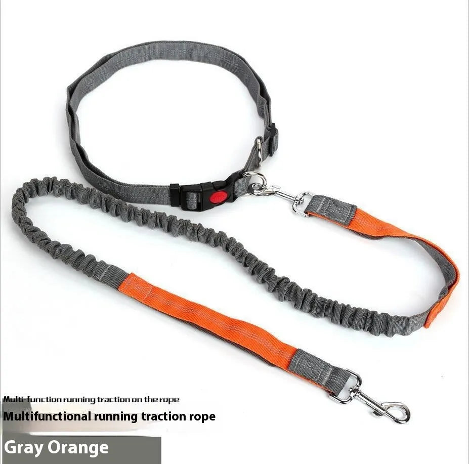 Grey and blue elastic dog leash with reflective sling for outdoor running.