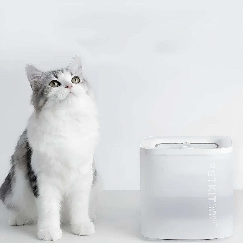 Xiaopei smart pet water dispenser with wireless loop filter for dogs and cats