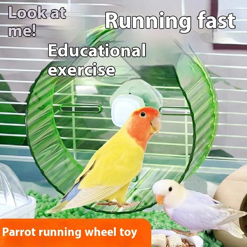 21cm plastic parrot wheel running toy for bird exercise in transparent, green, grey, orange, or purple