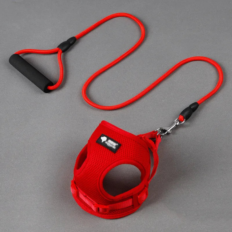 Round rope dog leash with foam handle and matching collar in blue pink red or yellow for small dogs