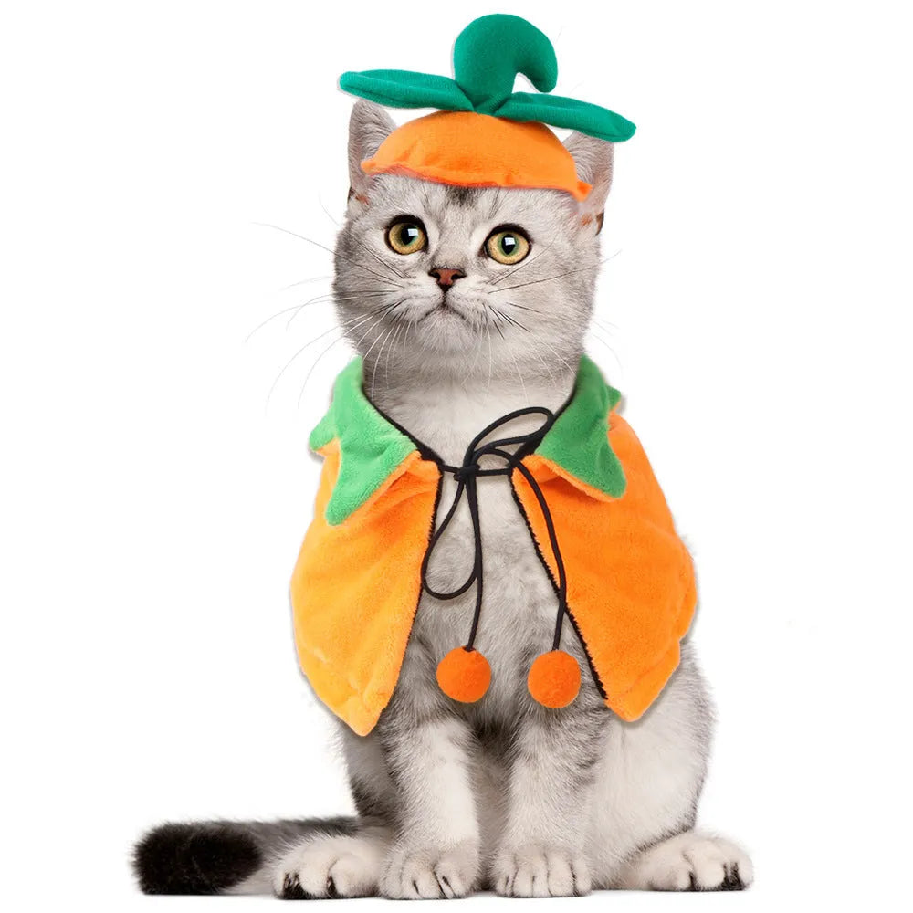 Orange plush Halloween pumpkin cloak for a dog or cat, shown in size M.