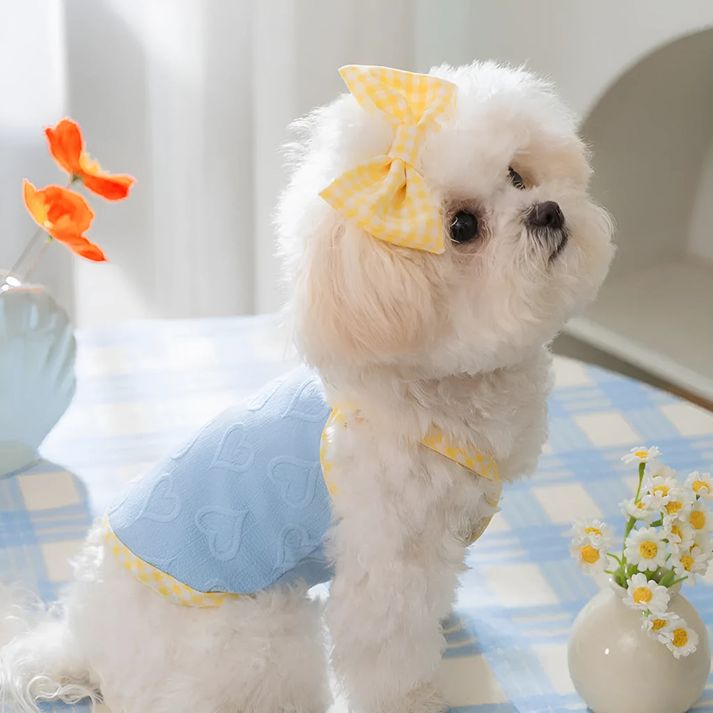 Small dog wearing heart relief texture bow suspenders vest in Bondi Blue colour