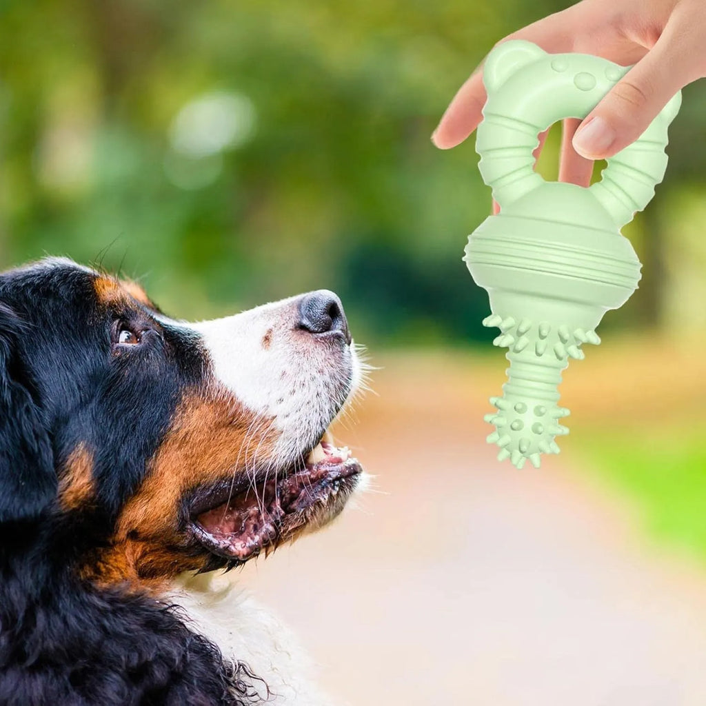 Blue rubber dog chew toy with textured surface for cleaning teeth, shown next to a measuring tape indicating 13.5 cm size.