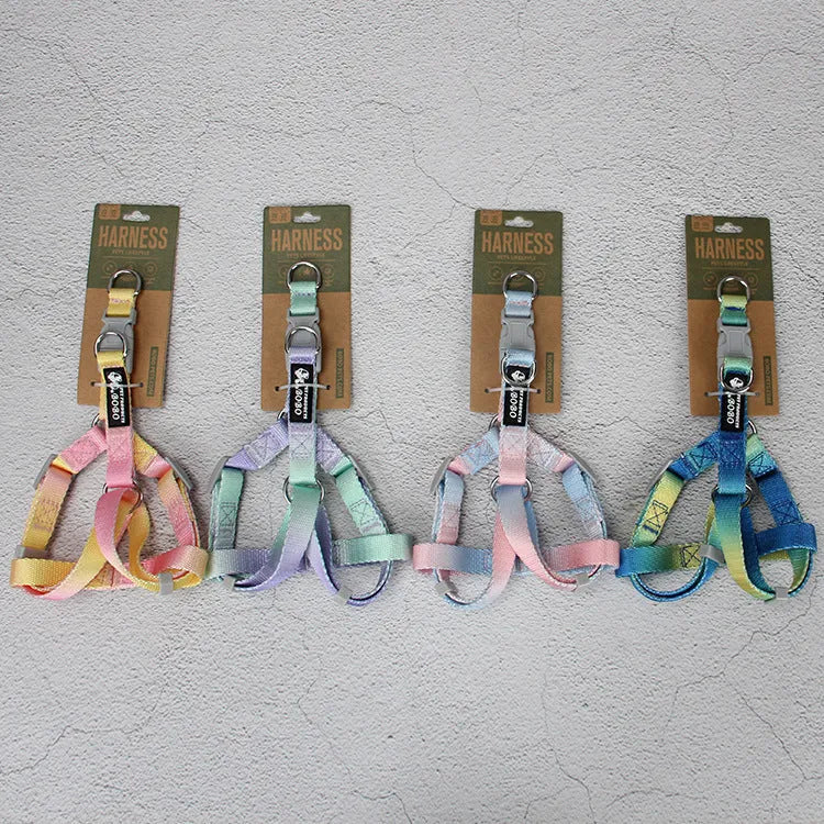 Nylon dog leash and gradient colour collar set in pink and blue, showing S and M size options.