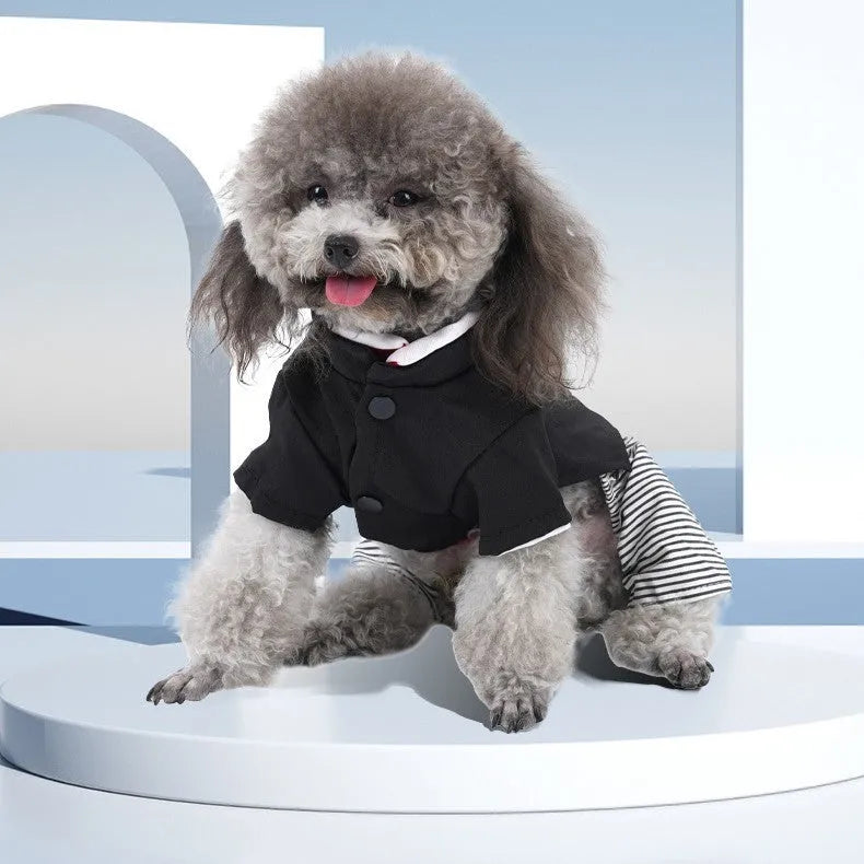 Thin cotton dog clothes for poodles in skirt and four-legged pants styles for spring and autumn seasons