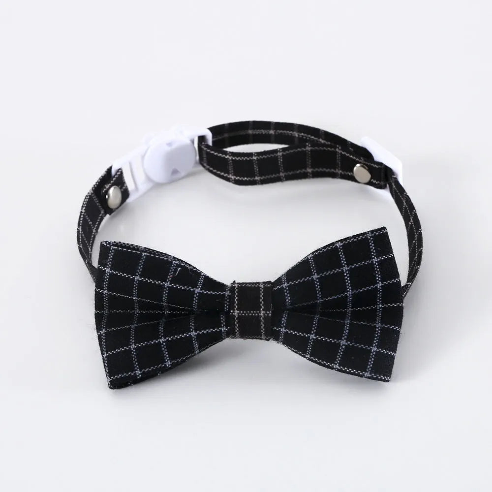 Pet doctor's degree hair band and bow tie set in woolen felt with elastic 18cm circumference