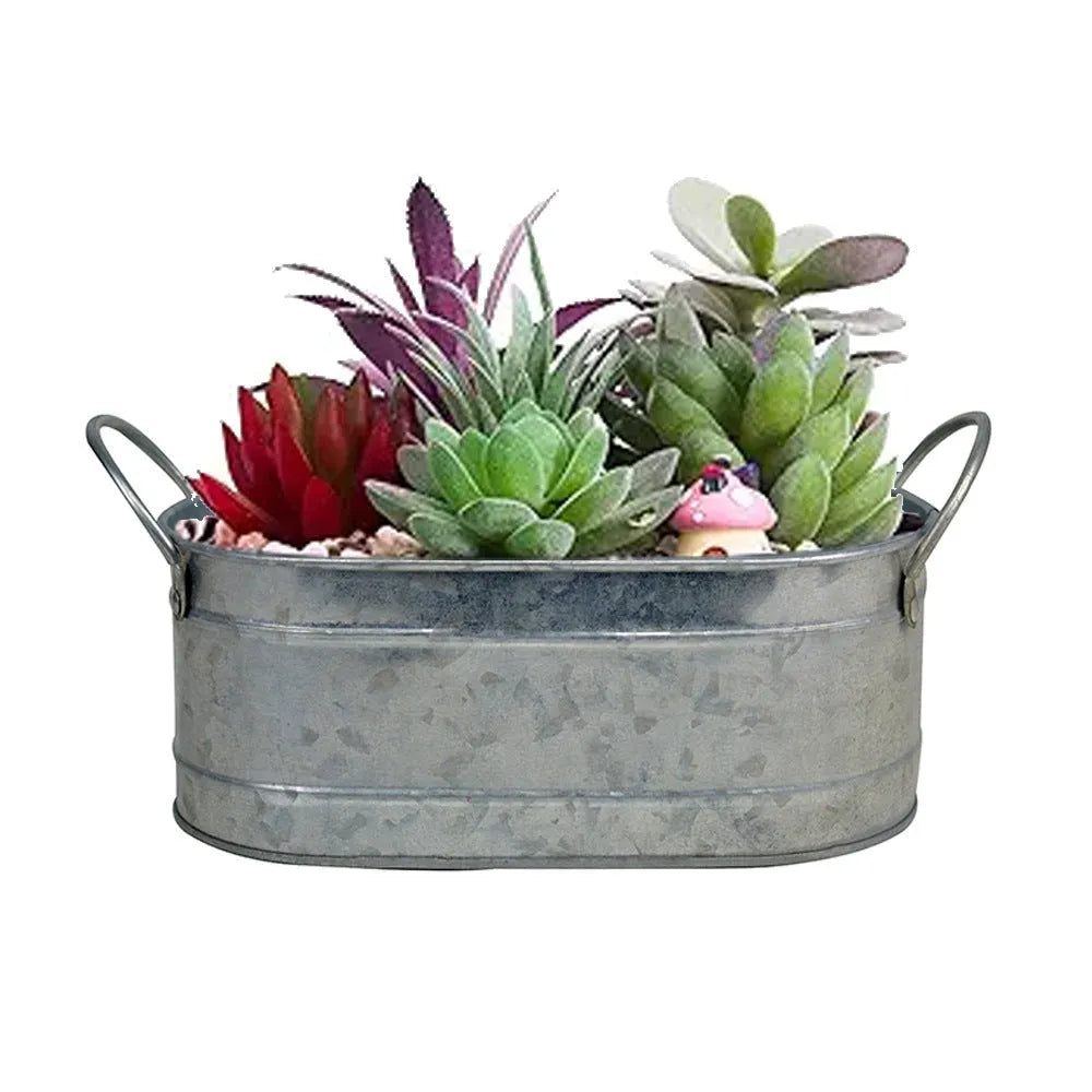 Iron sheet succulent flowerpot with desktop design for corrosion-resistant plant cultivation