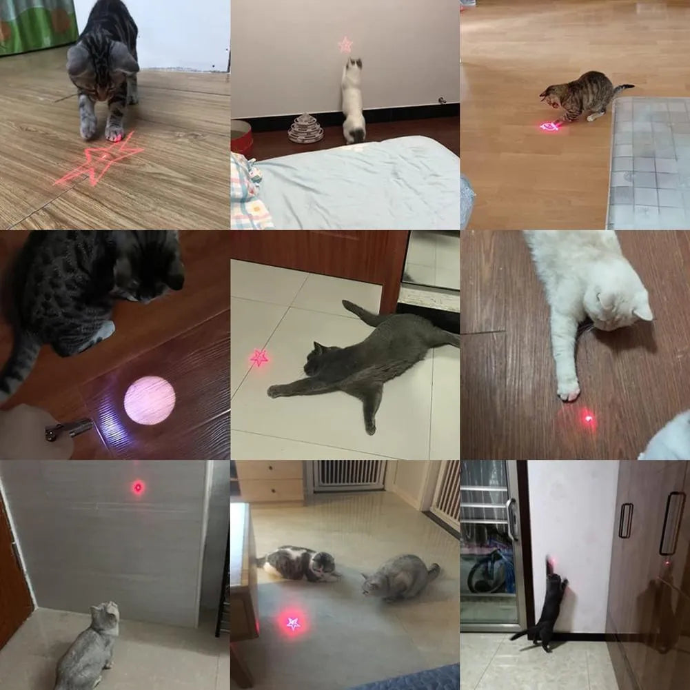 USB rechargeable infrared cat teaser keychain with lighting function in black or pink colour