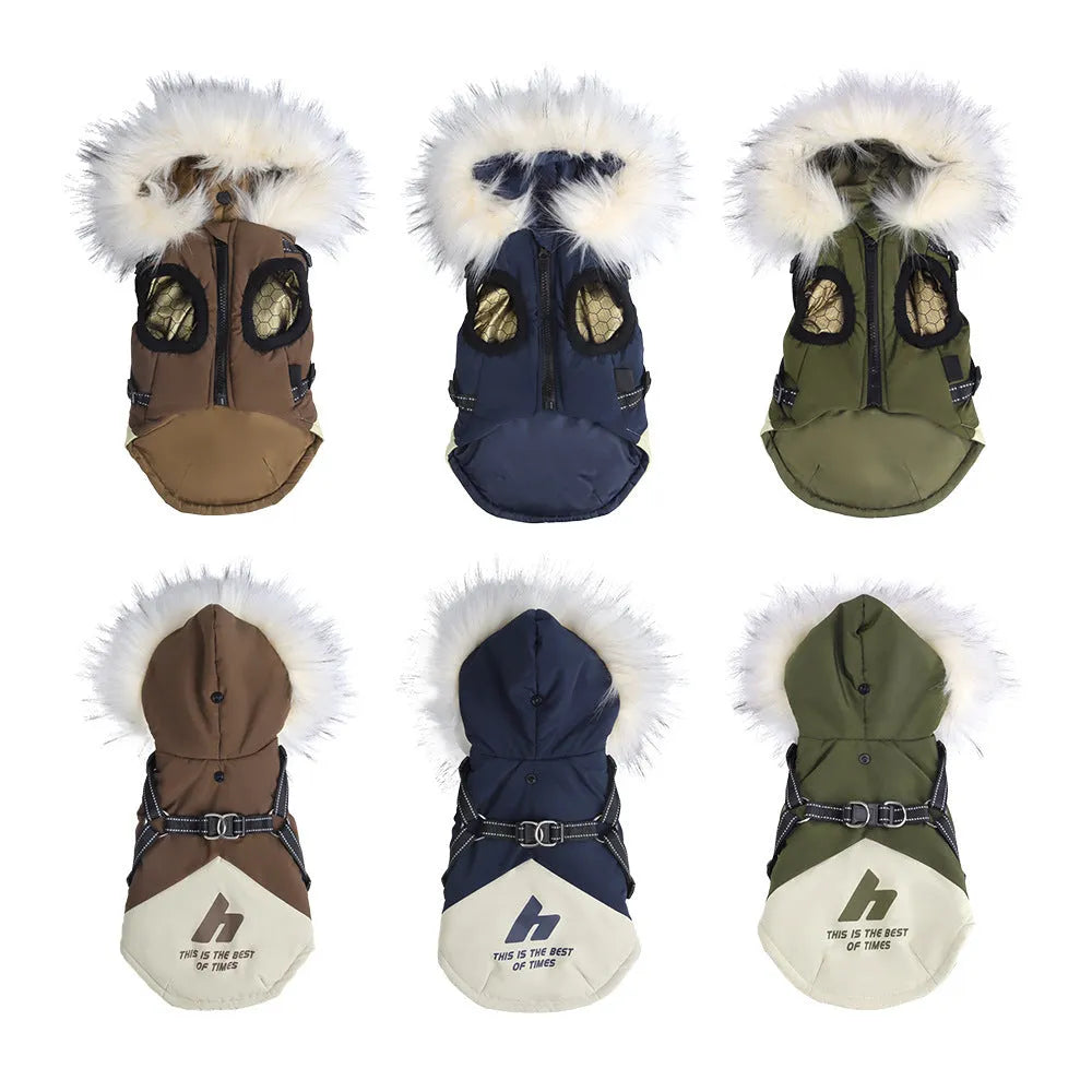 Velvet cold protection pet dog vest in sapphire blue for small breeds Teddy and Bichon