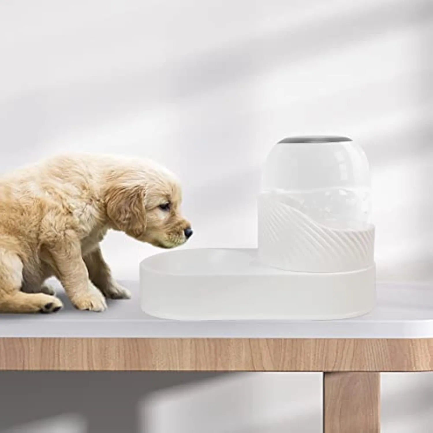 White automatic cat feeder and water dispenser set with wave design