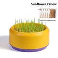 Hydroponic cat grass kit with soilless cup and five seed packs in blue, green, or yellow colours