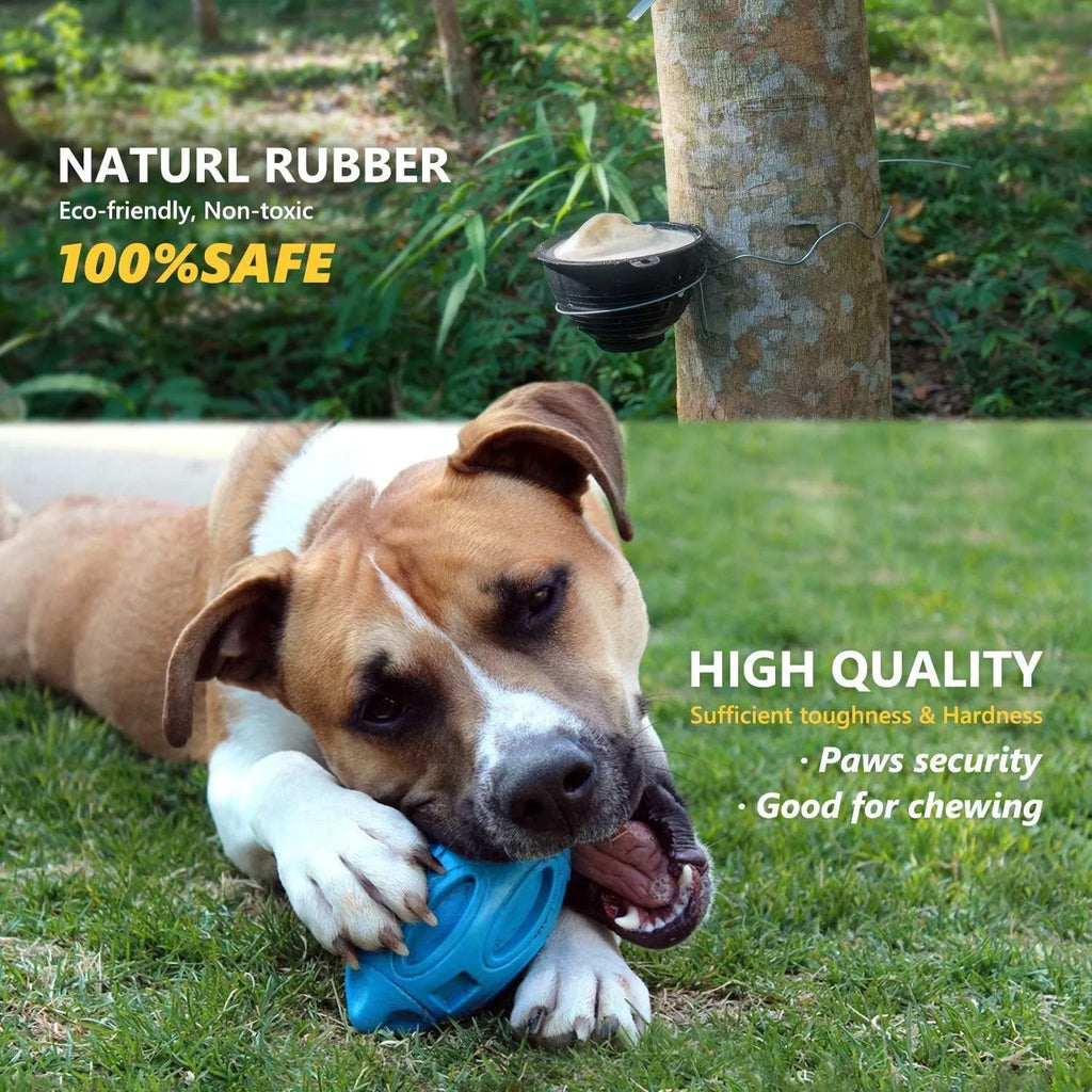 Blue, green, and orange rubber squeaky dog chew ball with grooved surface for medium and large breeds.