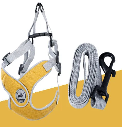 Adjustable dog and cat harness with breathable mesh material in blue colour with matching leash