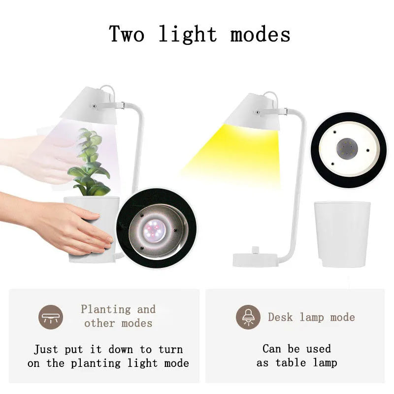 White plastic desktop hydroponic growing system for soilless plant cultivation.