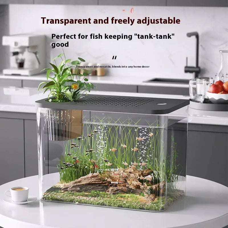 Medium black plastic betta fish tank with cover on a desktop