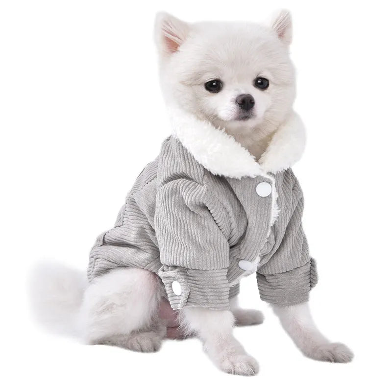 Dog wearing fleece-lined lambswool vest in grey colour with wool lining visible