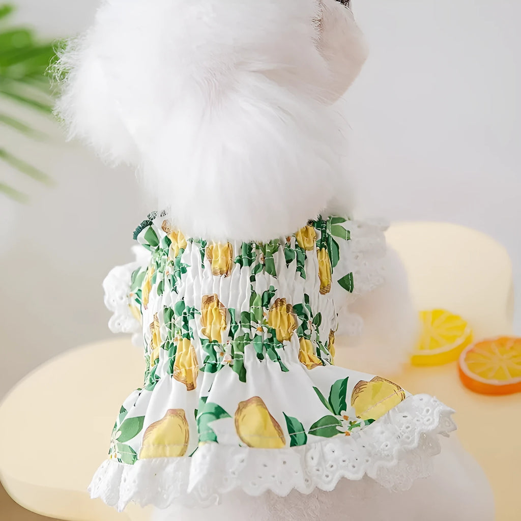 Rock yellow lemon polyester dog dress with strap skirt design for small to medium dogs