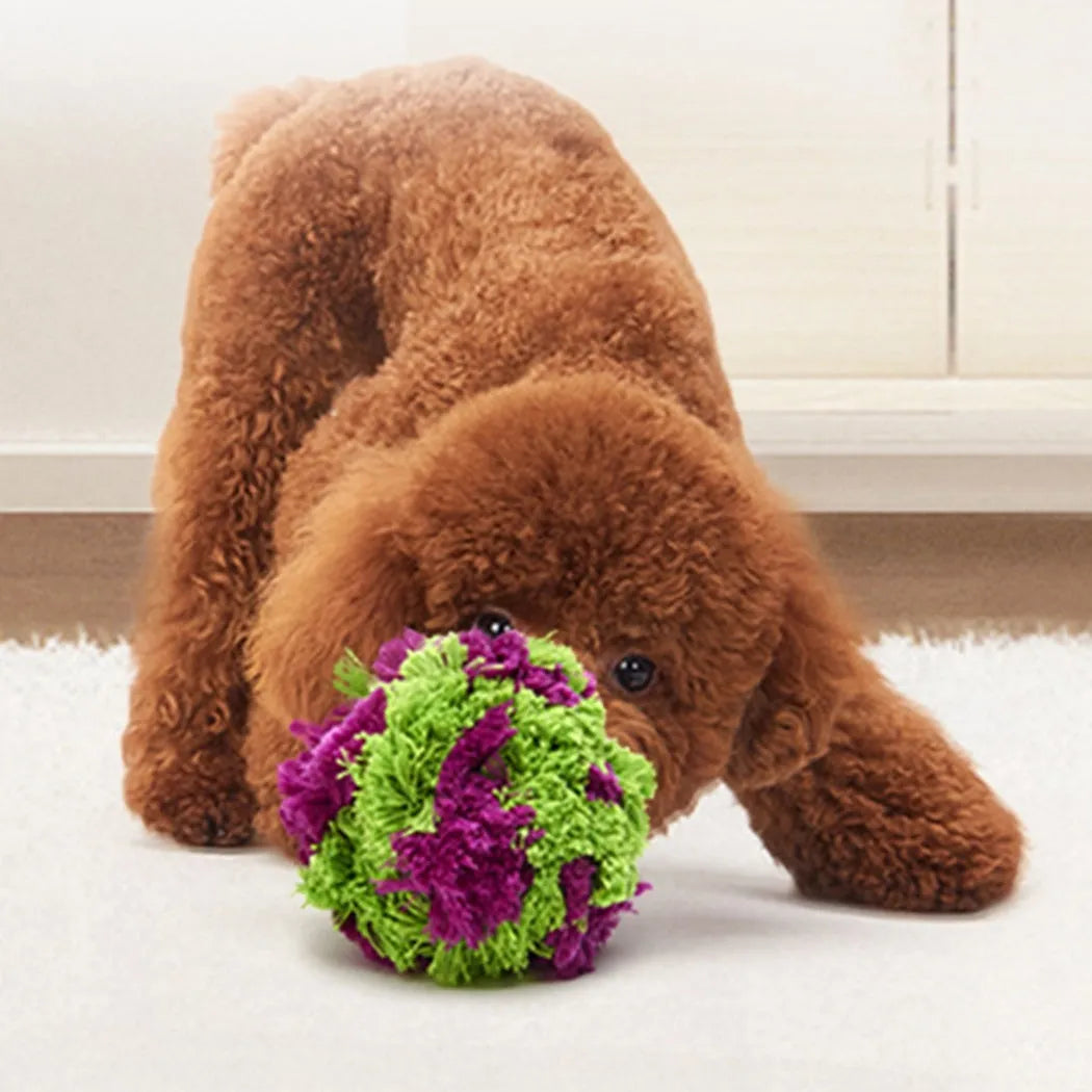 Purple plush seaweed ball design dog chew toy, 15cm in diameter, on a white background.