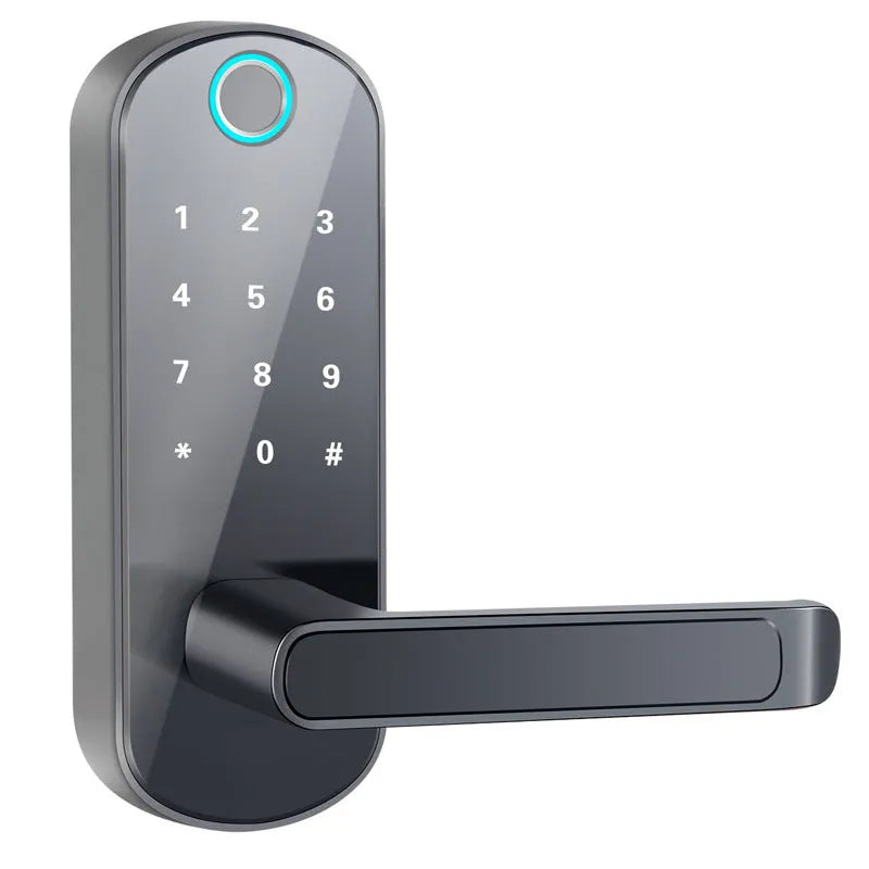Smart Bluetooth fingerprint lock in black or silver finish for door installation with biometric access control