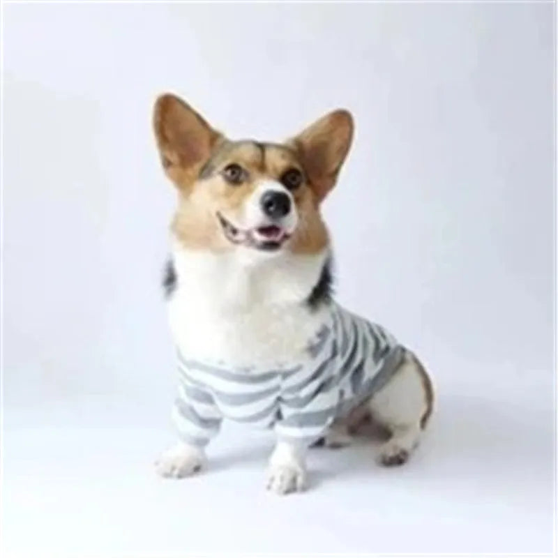 Grey striped cotton sweater for small dogs and cats, pullover design, available in multiple sizes