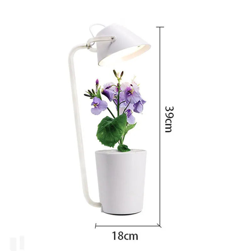 White plastic desktop hydroponic growing system for soilless plant cultivation.