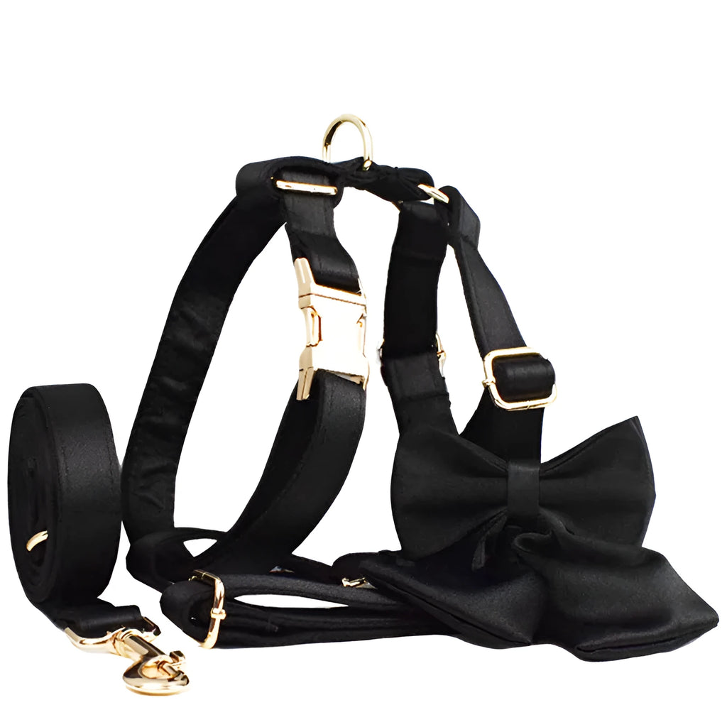 Complete dog walking set showing a cloth collar, matching leash, lightweight vest, and decorative bow for pets.