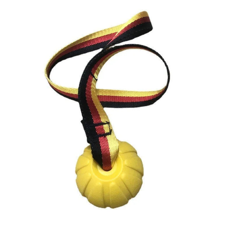 Floating camouflage and yellow EVA dog training balls with string tethers in three different sizes