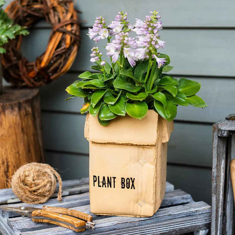 Cement brown paper box design flowerpot with drainage holes for indoor planting