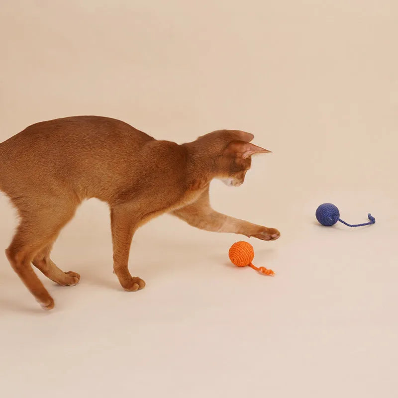 Cat toy set with teaser stick and bite-resistant catnip ball in blue, green, and red yellow blue colours