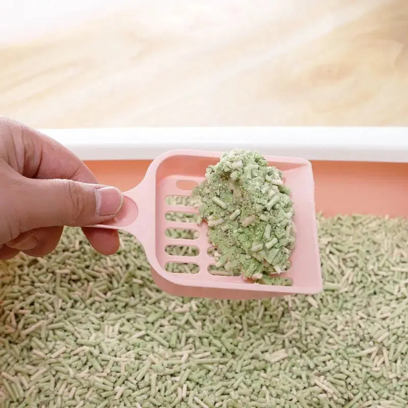Blue plastic cat litter scoop on a white background