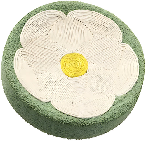 Green round cat scratcher bowl lounge bed with sisal scratching surface measuring 39cm diameter