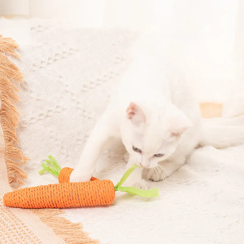 Assortment of cat toys including carrot-shaped paper bites, plastic ringing stones, and textured grinding sticks in two size options