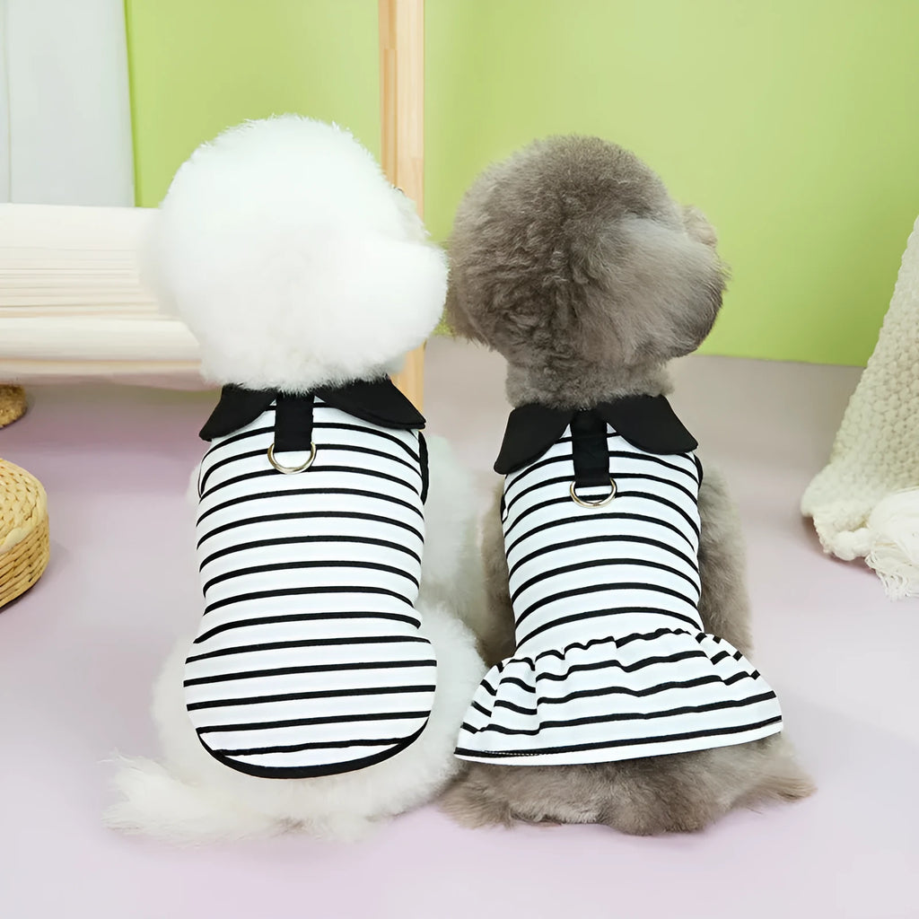 Pet dog wearing pink stripes cotton T-shirt and skirt summer outfit set