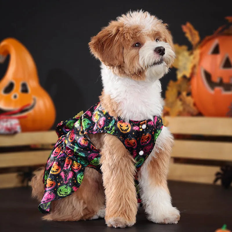 Dog wearing an angel wings Halloween costume in bright pumpkin colour.