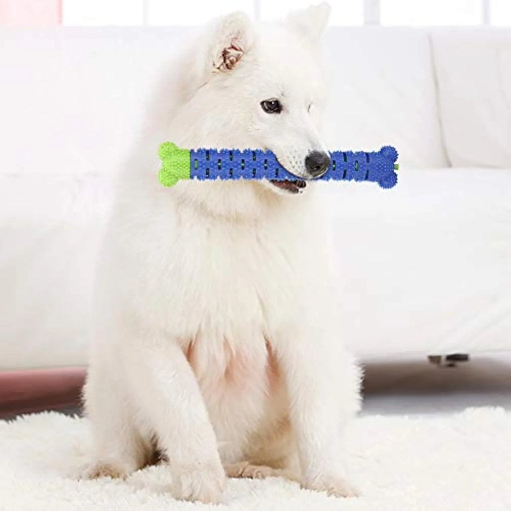 Blue and green silicone dog dental chew stick with textured cleaning surface and nodules for gum massage.