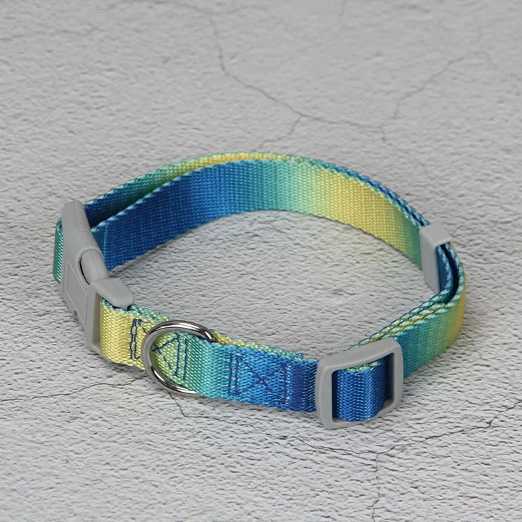 Nylon dog leash and gradient colour collar set in pink and blue, showing S and M size options.