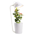 White plastic desktop hydroponic growing system for soilless plant cultivation.
