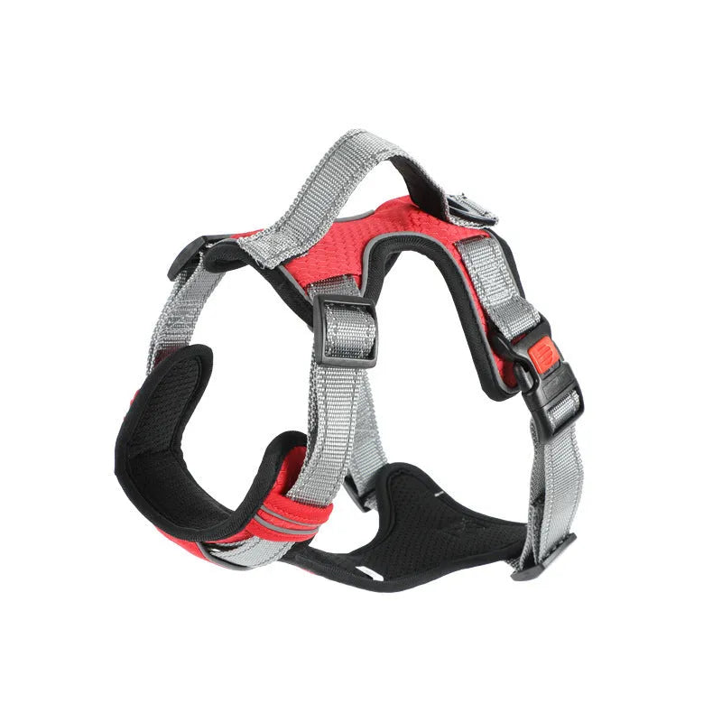 Orange polyester dog chest strap harness with an adjustable hand holding rope attached.