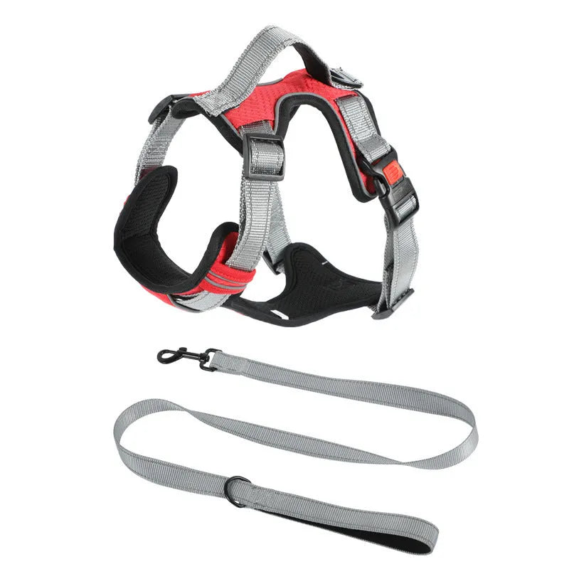 Orange polyester dog chest strap harness with an adjustable hand holding rope attached.