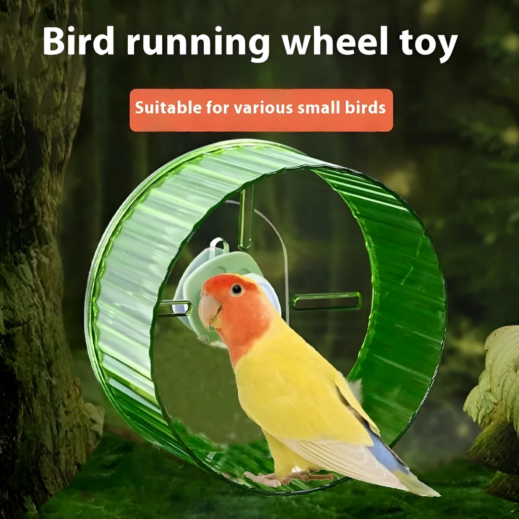 21cm plastic parrot wheel running toy for bird exercise in transparent, green, grey, orange, or purple