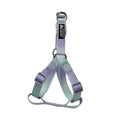 Nylon dog leash and gradient colour collar set in pink and blue, showing S and M size options.