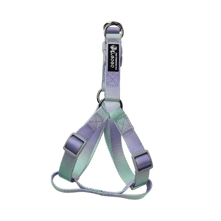 Nylon dog leash and gradient colour collar set in pink and blue, showing S and M size options.