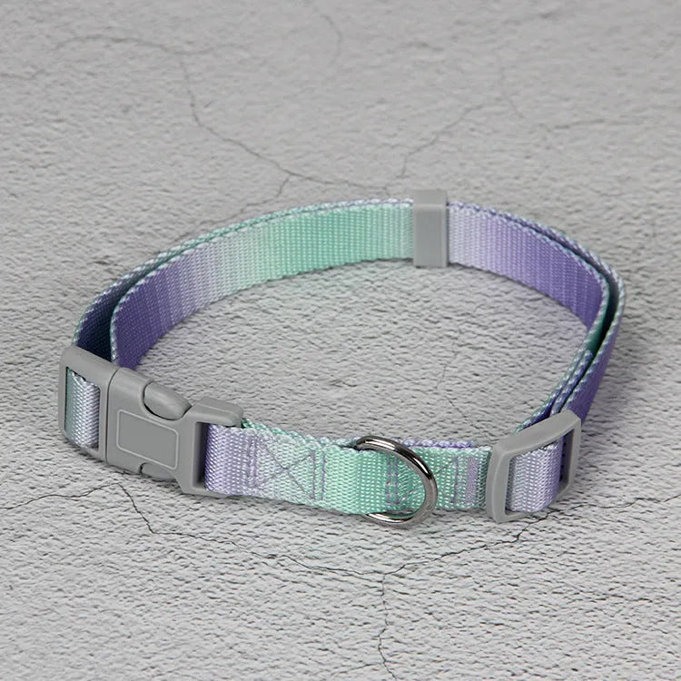 Nylon dog leash and gradient colour collar set in pink and blue, showing S and M size options.