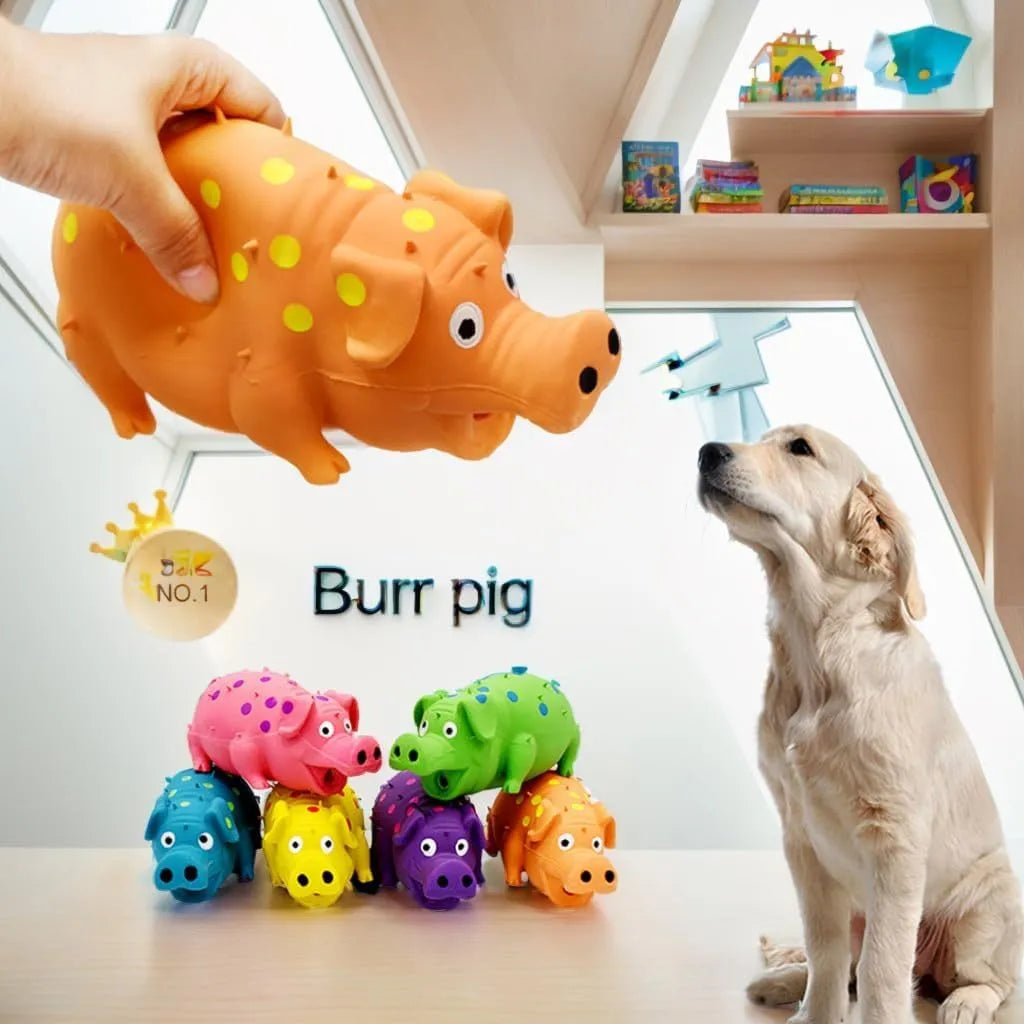 Pig-shaped latex dog chew toy with squeaker in various colours, 20cm long