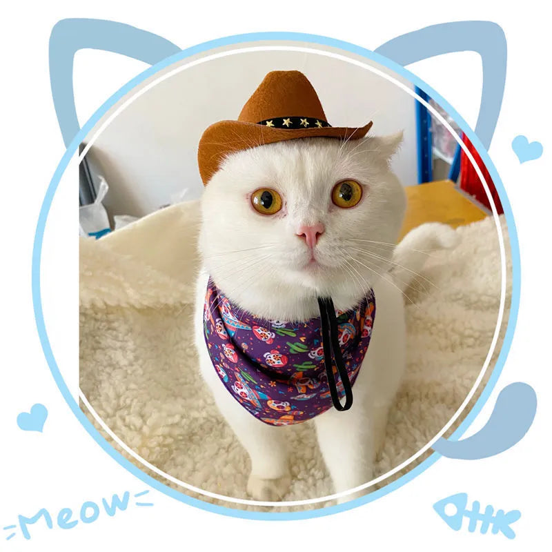 British cowboy hat for cats in various colours with ribbon or velvet trim