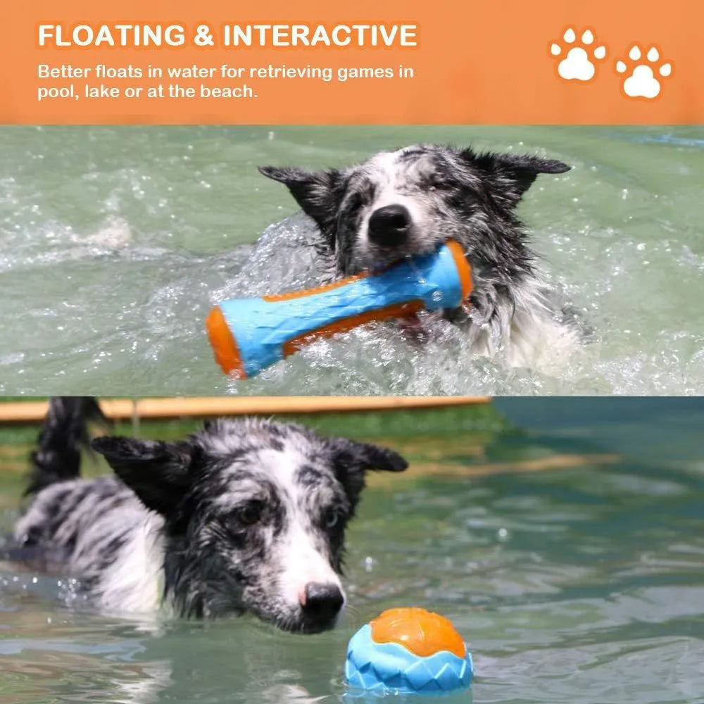 Set of three TPR dog toys: a squeaky ball, barbell, and tyre for floating fetch play.